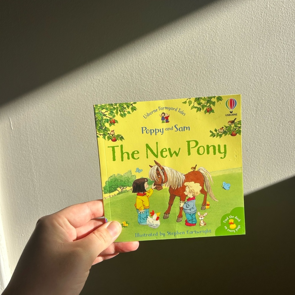 Usborne poppy & Sam The New Pony Children's Book